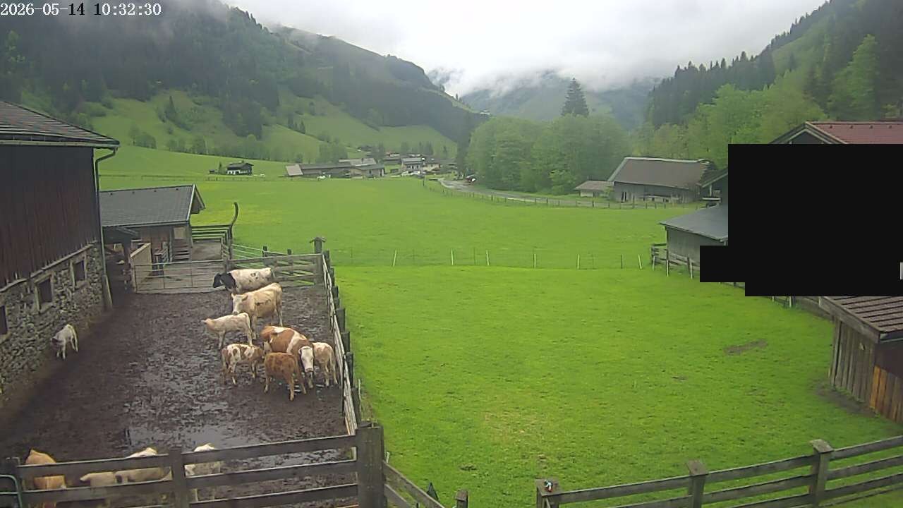 Archiv Foto Webcam Raurisertal, Salzburger Land