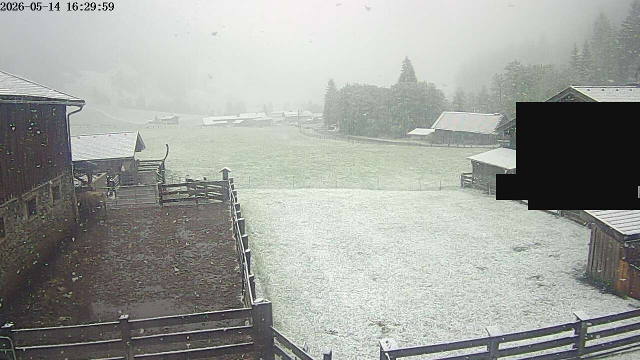 Archiv Foto Webcam Raurisertal, Salzburger Land
