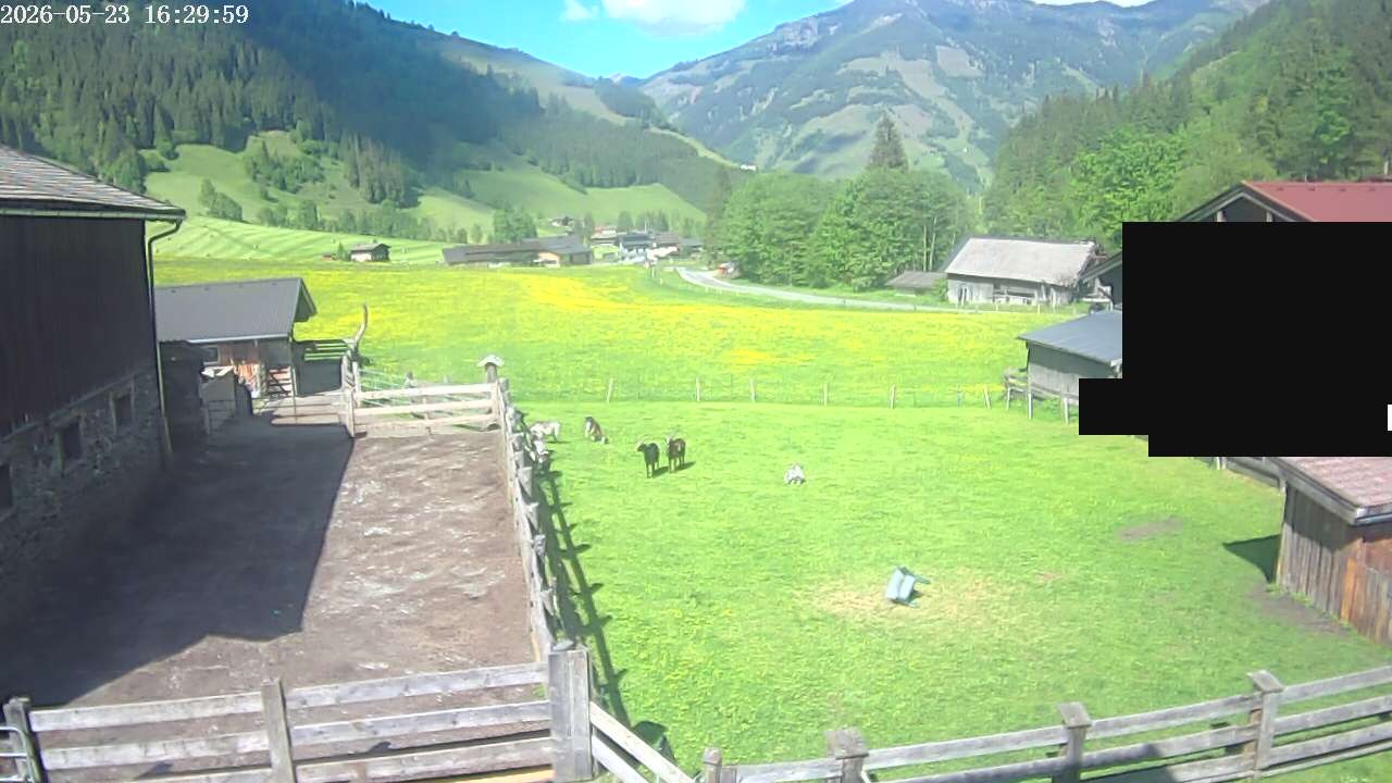 Archiv Foto Webcam Raurisertal, Salzburger Land