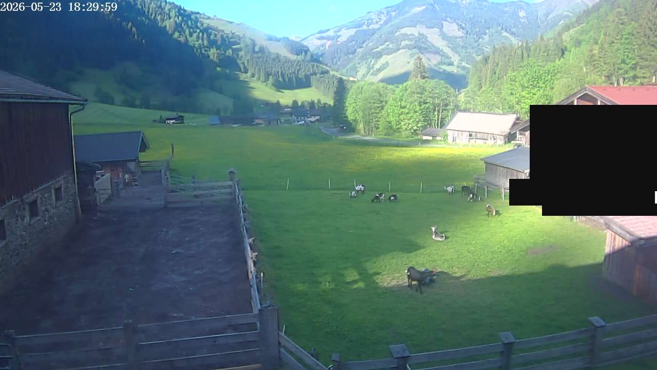 Archiv Foto Webcam Raurisertal, Salzburger Land
