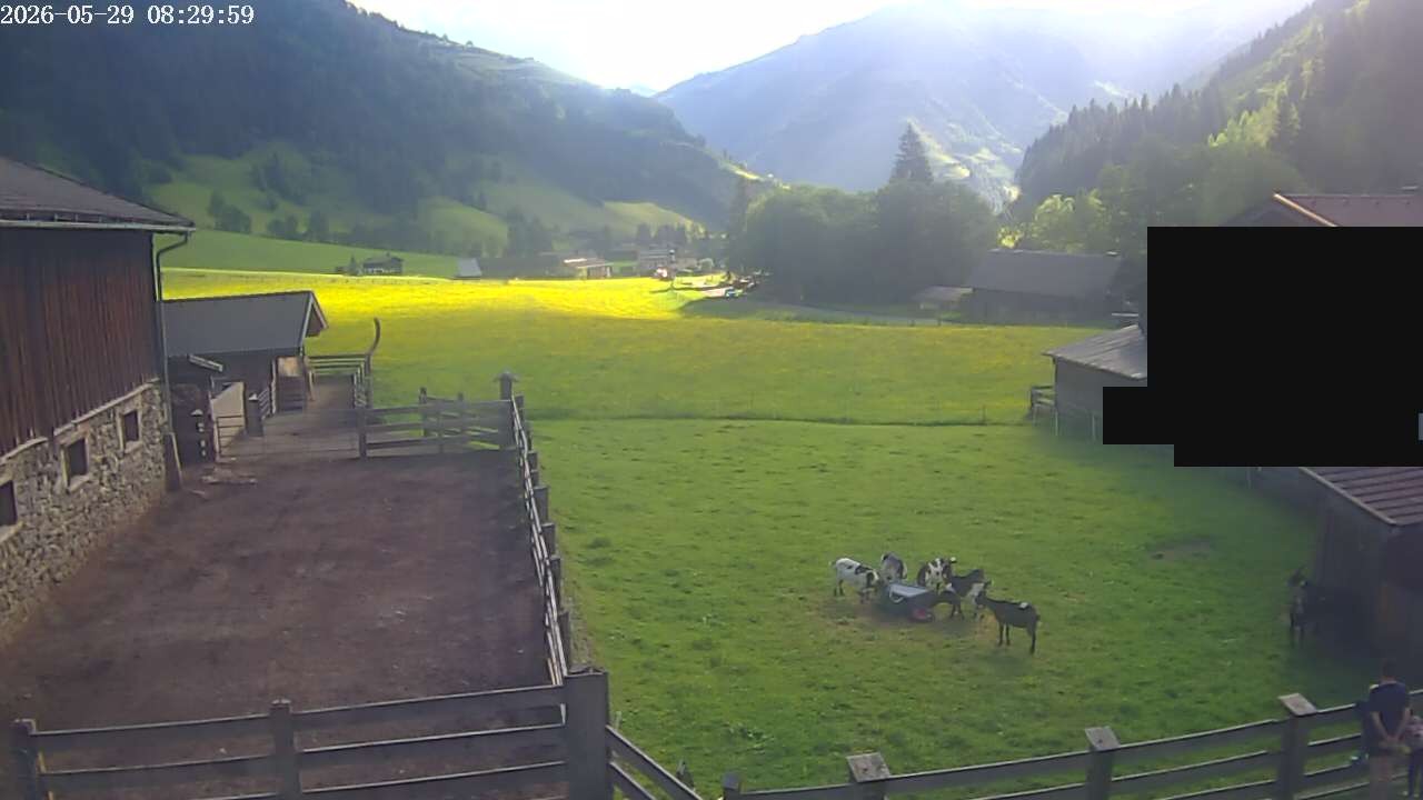Archiv Foto Webcam Raurisertal, Salzburger Land