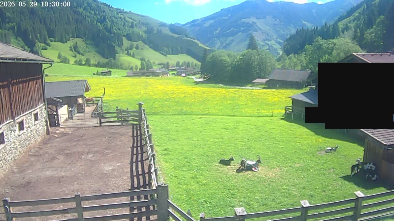 Archiv Foto Webcam Raurisertal, Salzburger Land