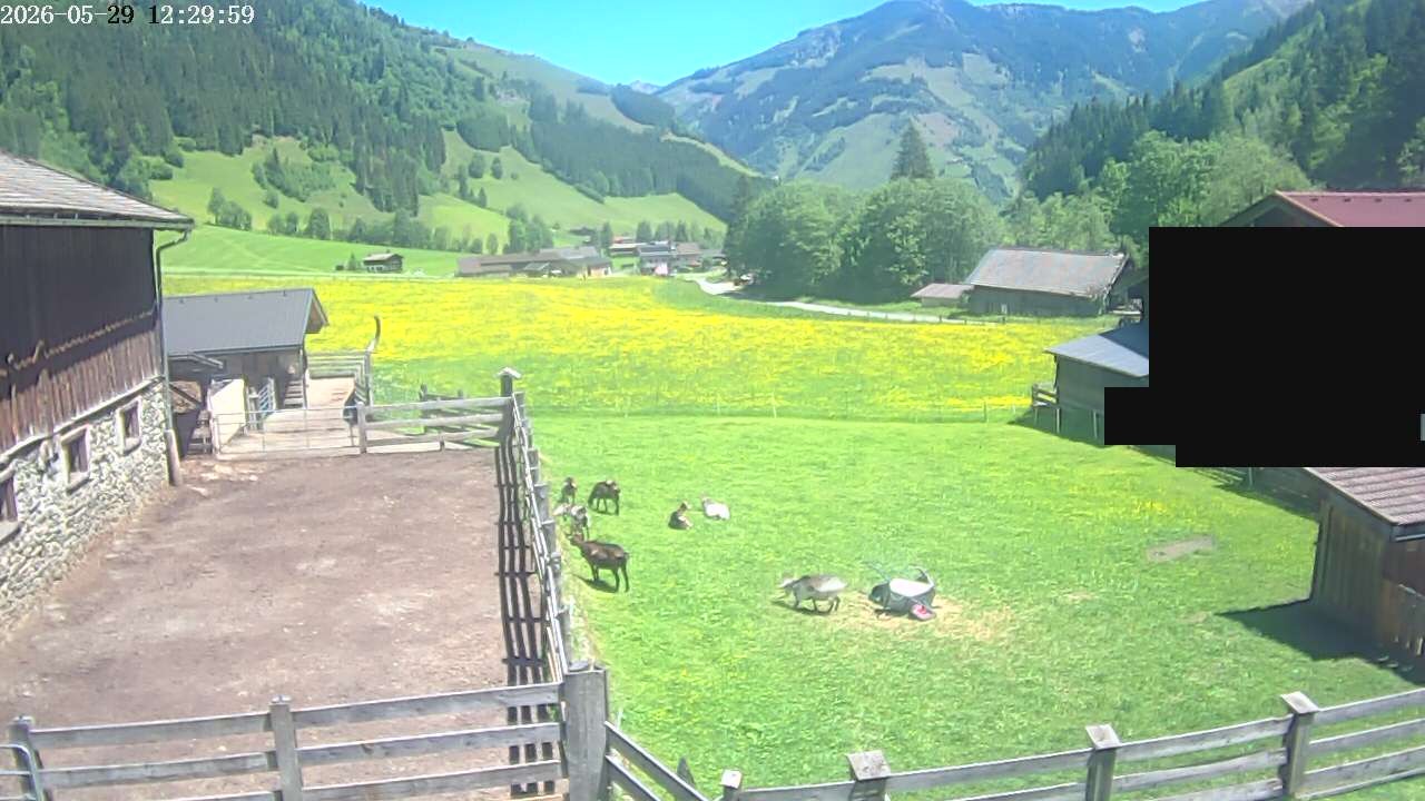 Archiv Foto Webcam Raurisertal, Salzburger Land