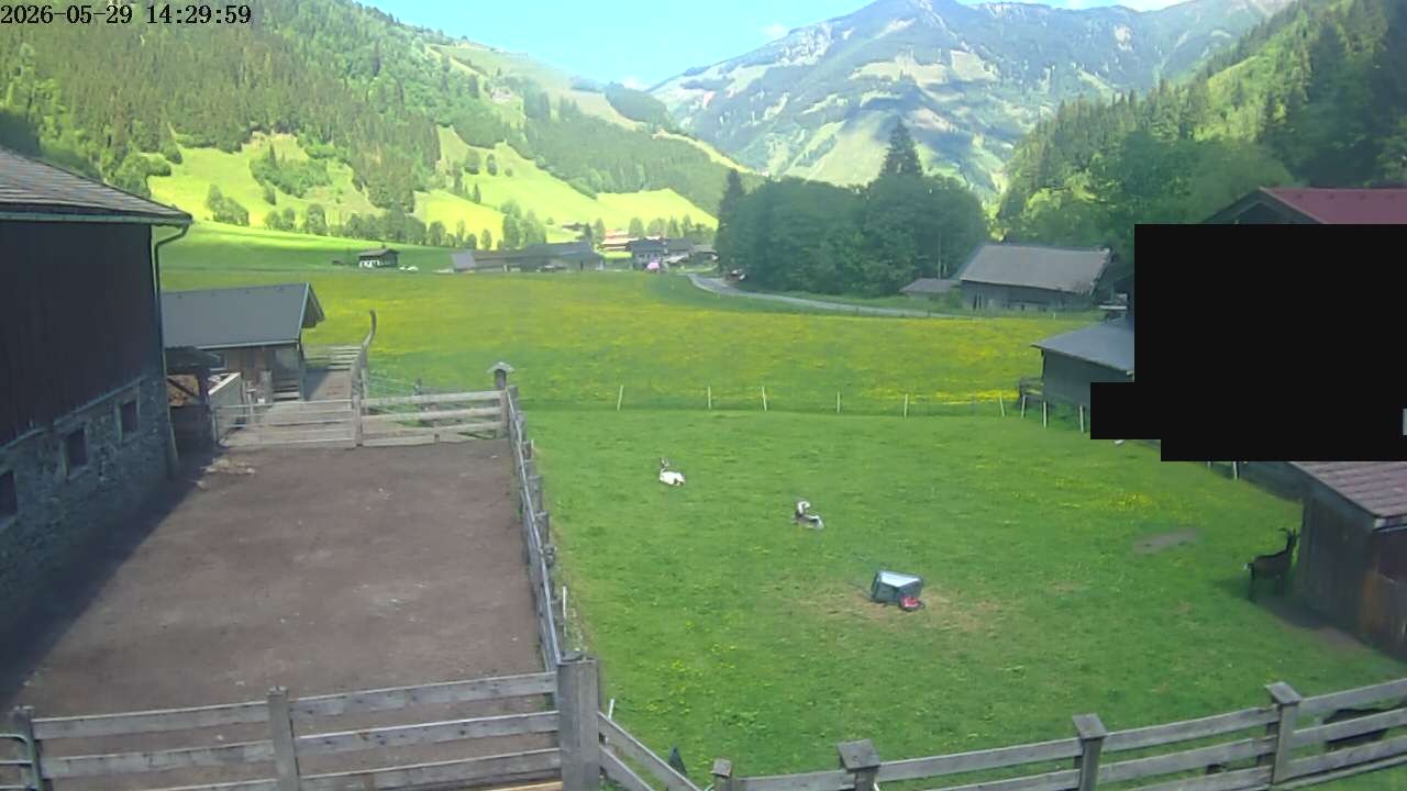 Archiv Foto Webcam Raurisertal, Salzburger Land