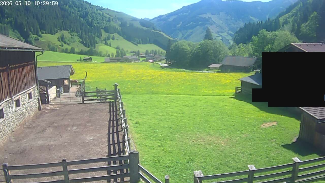 Archiv Foto Webcam Raurisertal, Salzburger Land