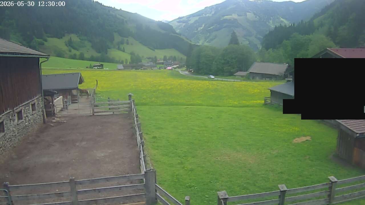 Archiv Foto Webcam Raurisertal, Salzburger Land