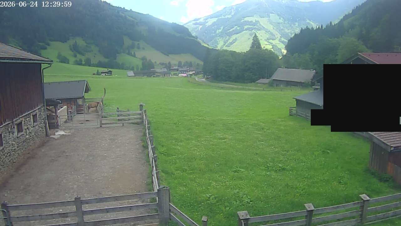 Archiv Foto Webcam Raurisertal, Salzburger Land