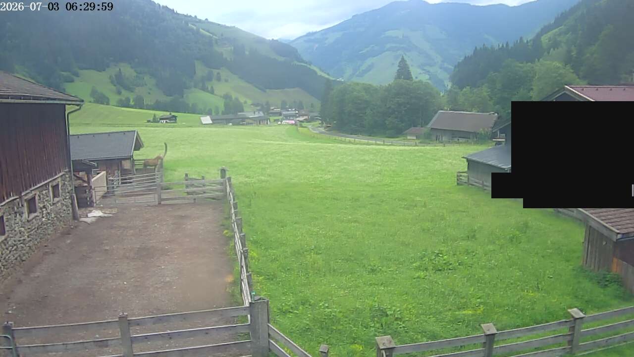 Archiv Foto Webcam Raurisertal, Salzburger Land