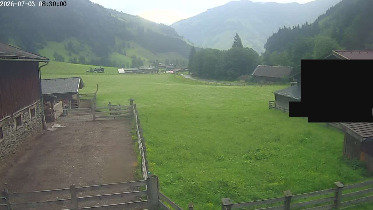 Archiv Foto Webcam Raurisertal, Salzburger Land