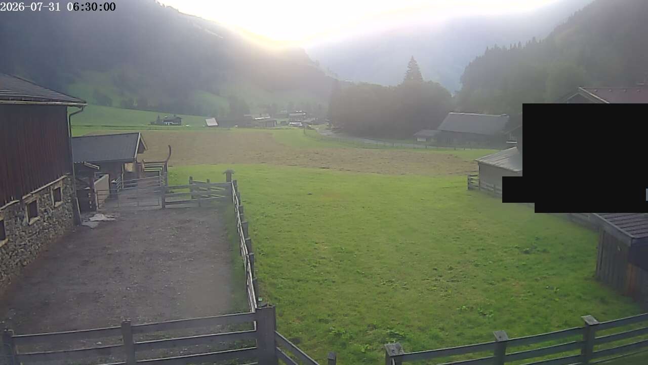 Archiv Foto Webcam Raurisertal, Salzburger Land