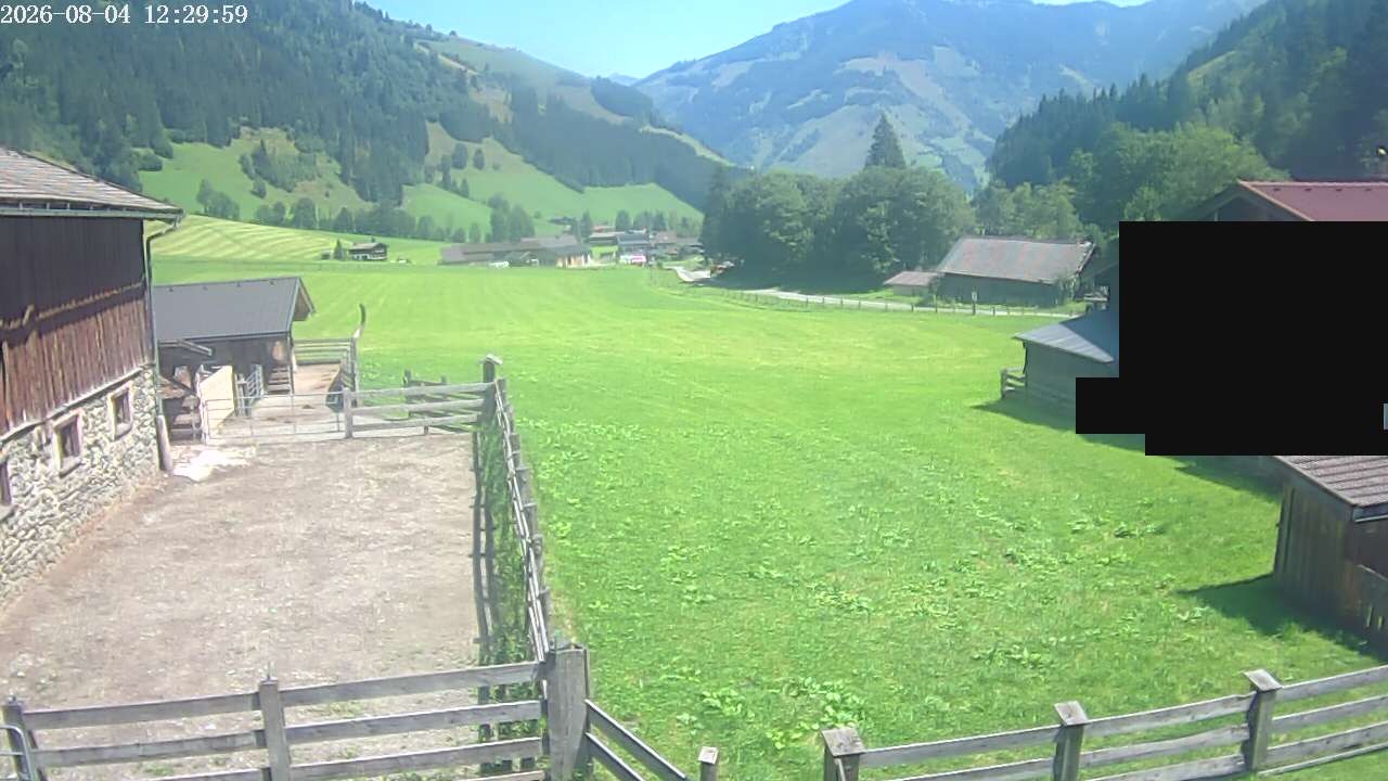Archiv Foto Webcam Raurisertal, Salzburger Land