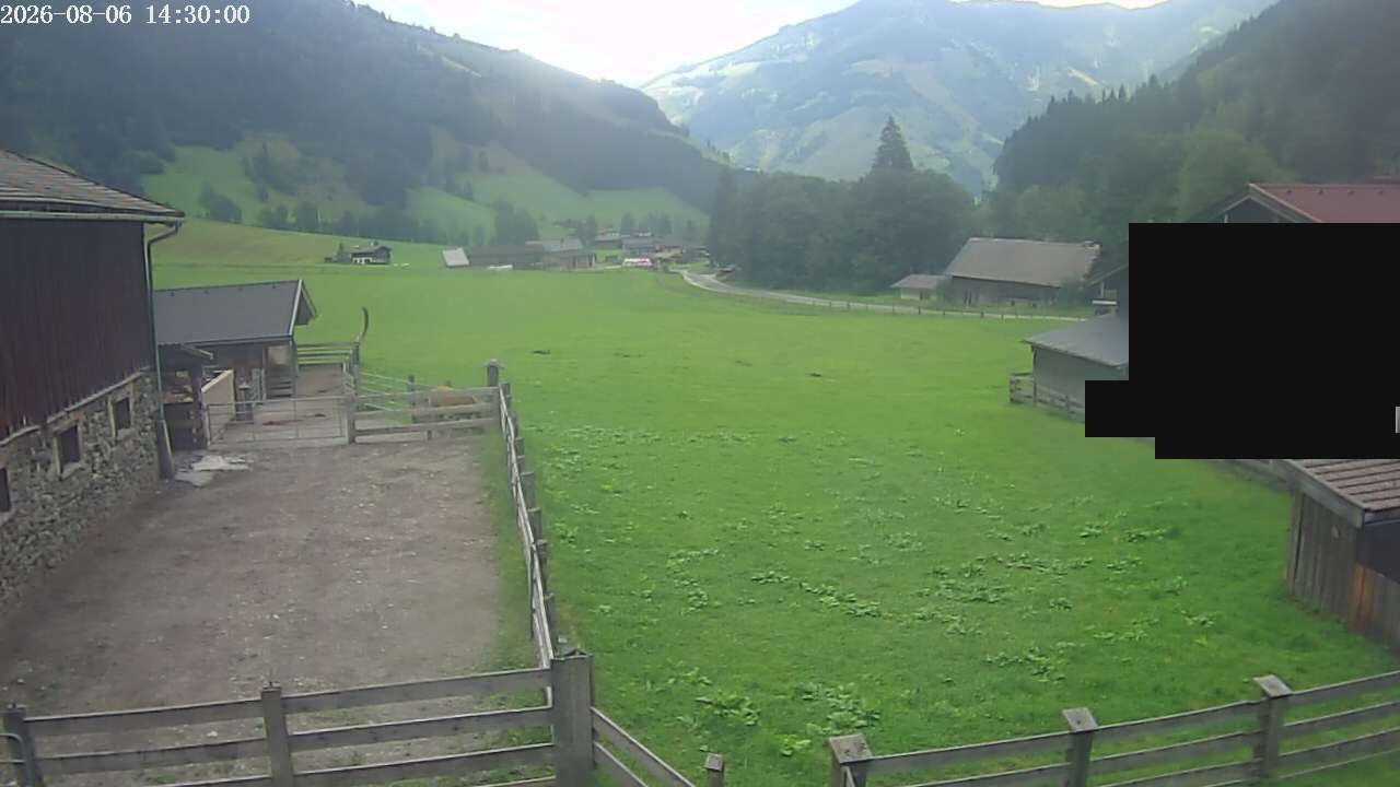 Archiv Foto Webcam Raurisertal, Salzburger Land
