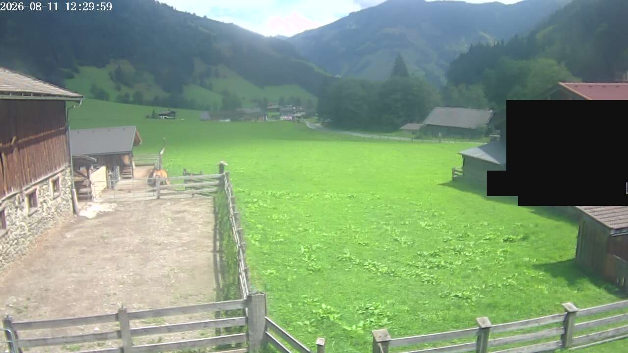Archiv Foto Webcam Raurisertal, Salzburger Land
