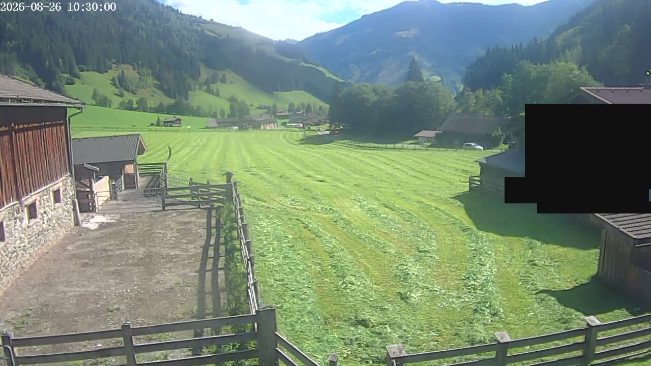 Archiv Foto Webcam Raurisertal, Salzburger Land
