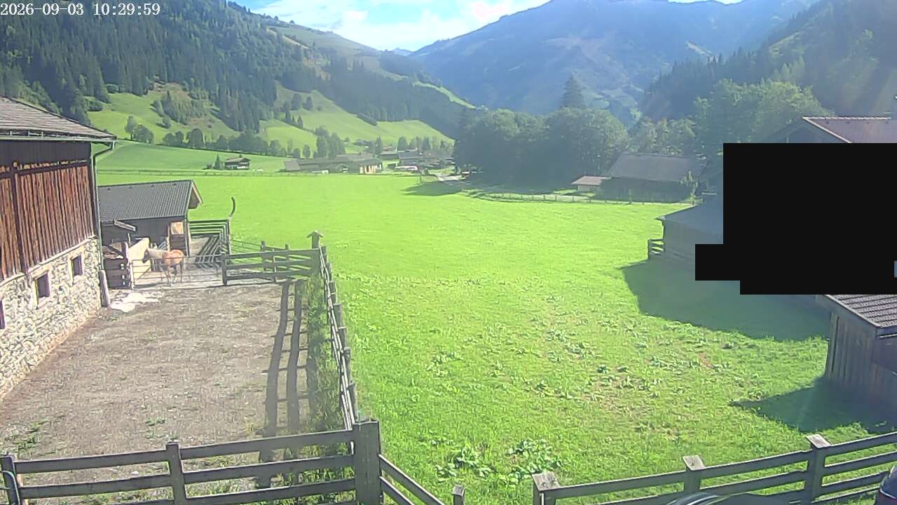 Archiv Foto Webcam Raurisertal, Salzburger Land