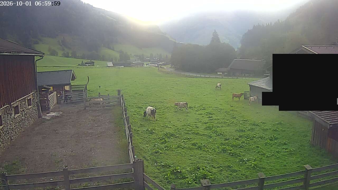 Archiv Foto Webcam Raurisertal, Salzburger Land