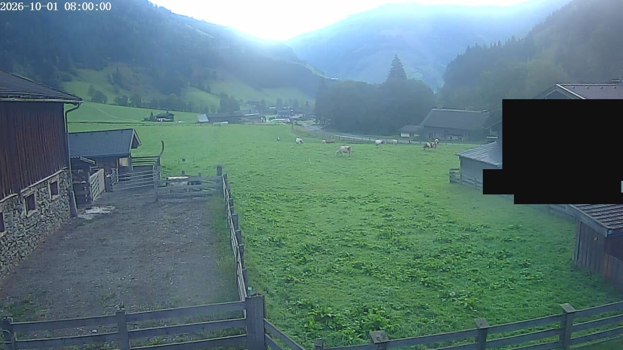 Archiv Foto Webcam Raurisertal, Salzburger Land
