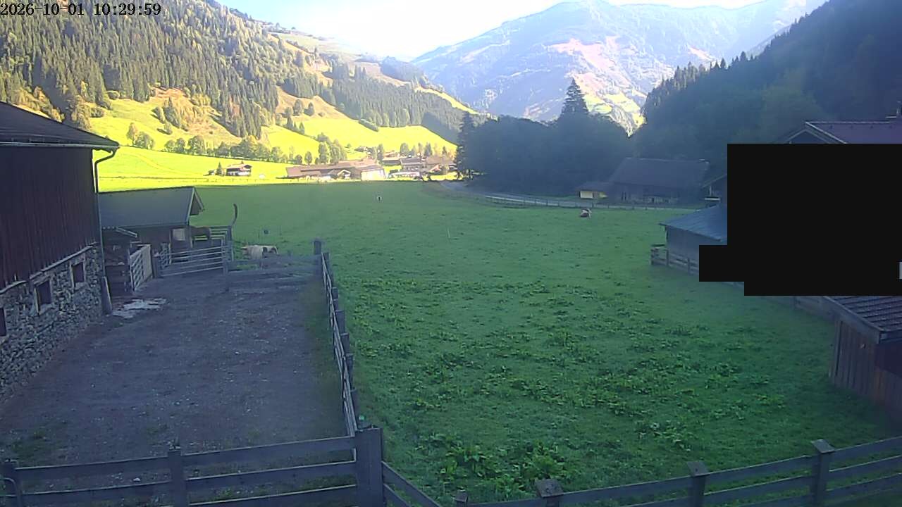 Archiv Foto Webcam Raurisertal, Salzburger Land