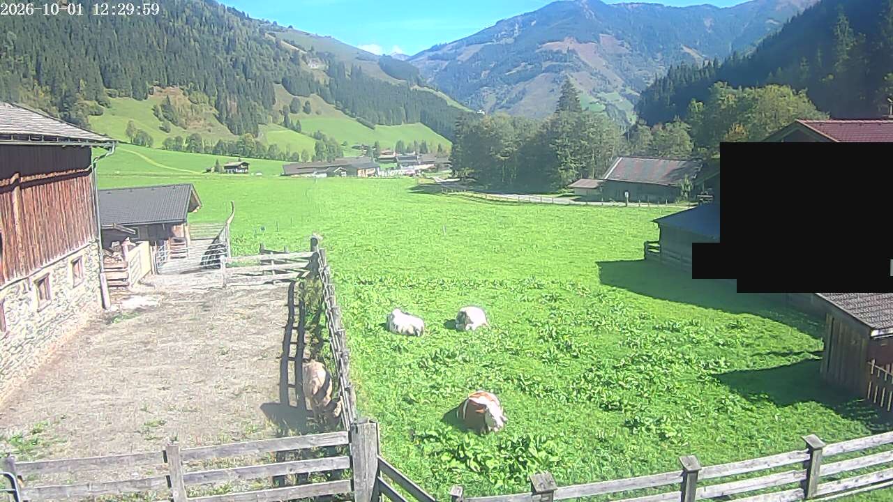 Archiv Foto Webcam Raurisertal, Salzburger Land