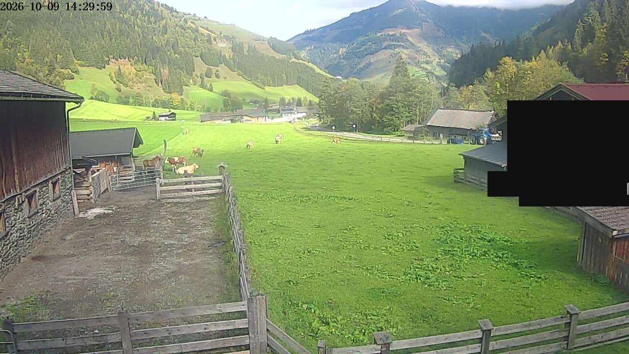 Archiv Foto Webcam Raurisertal, Salzburger Land