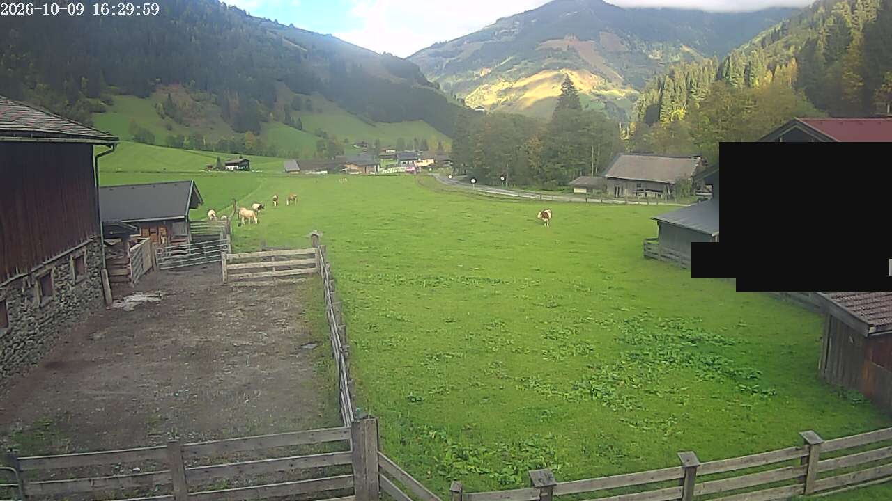Archiv Foto Webcam Raurisertal, Salzburger Land