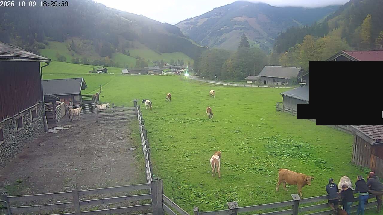 Archiv Foto Webcam Raurisertal, Salzburger Land