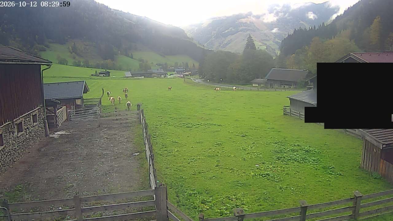 Archiv Foto Webcam Raurisertal, Salzburger Land