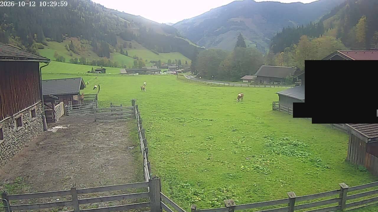 Archiv Foto Webcam Raurisertal, Salzburger Land