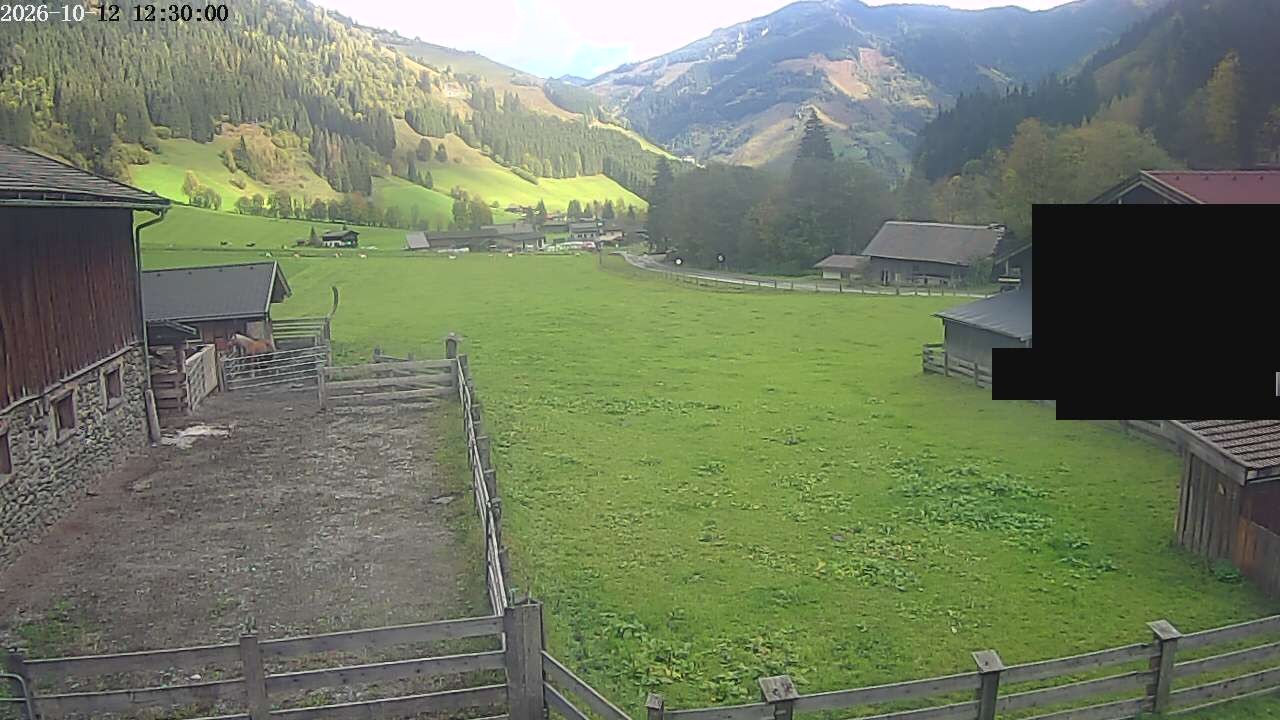 Archiv Foto Webcam Raurisertal, Salzburger Land