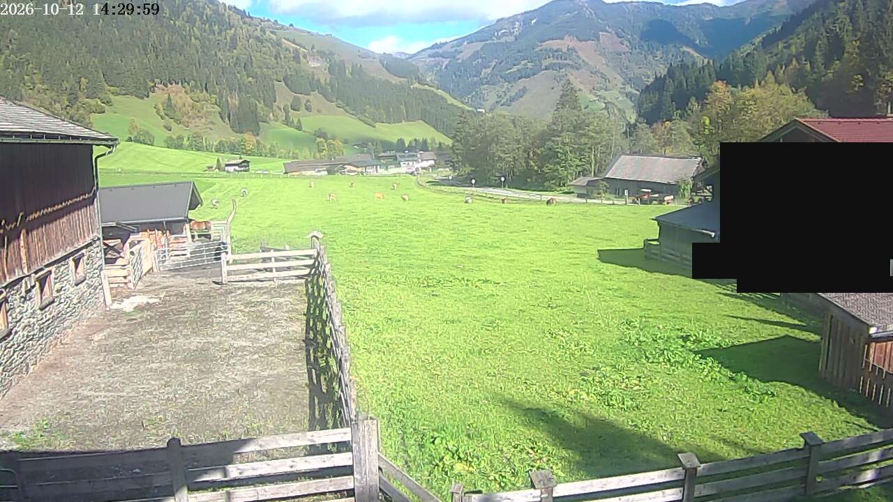 Archiv Foto Webcam Raurisertal, Salzburger Land