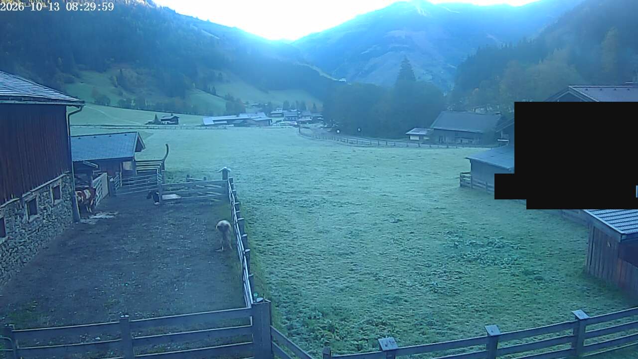 Archiv Foto Webcam Raurisertal, Salzburger Land