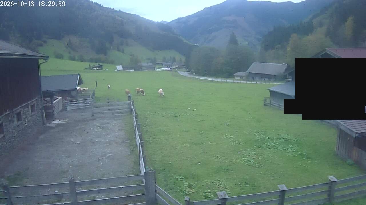 Archiv Foto Webcam Raurisertal, Salzburger Land
