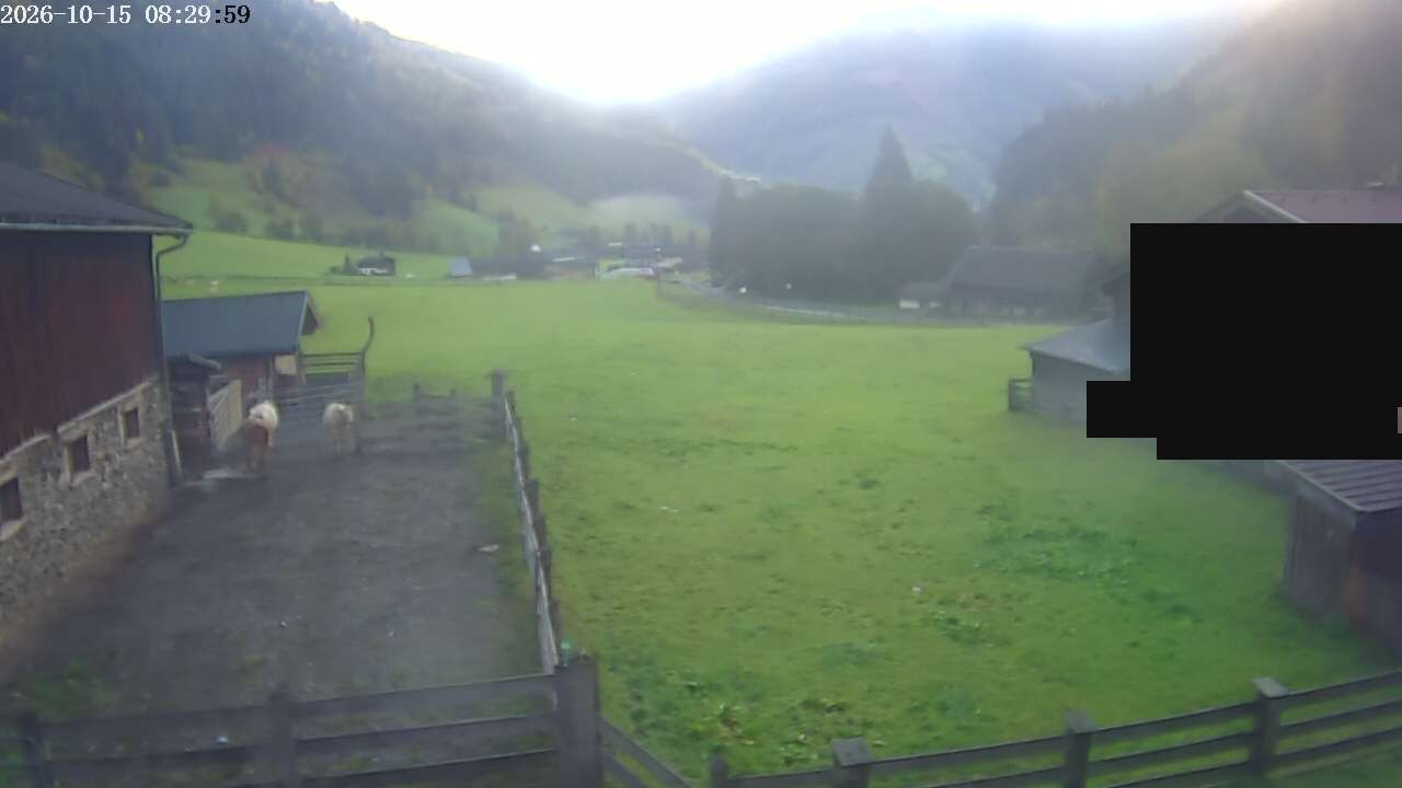 Archiv Foto Webcam Raurisertal, Salzburger Land