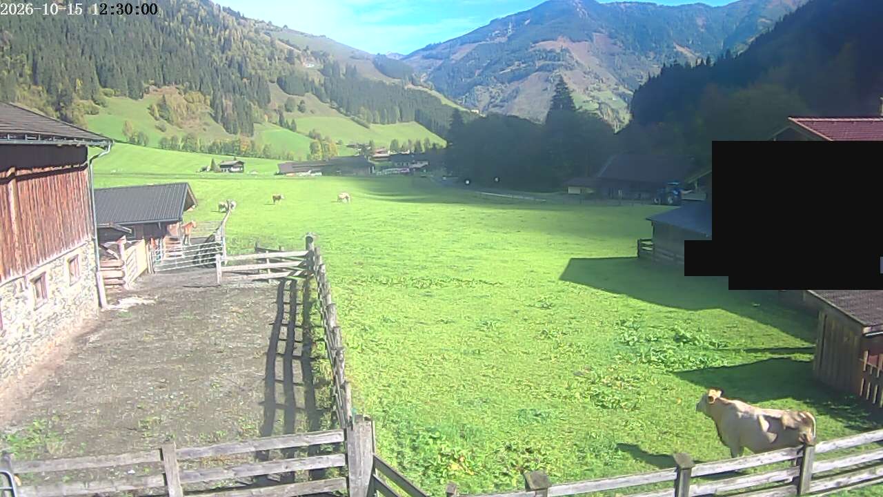 Archiv Foto Webcam Raurisertal, Salzburger Land