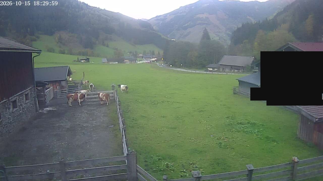 Archiv Foto Webcam Raurisertal, Salzburger Land
