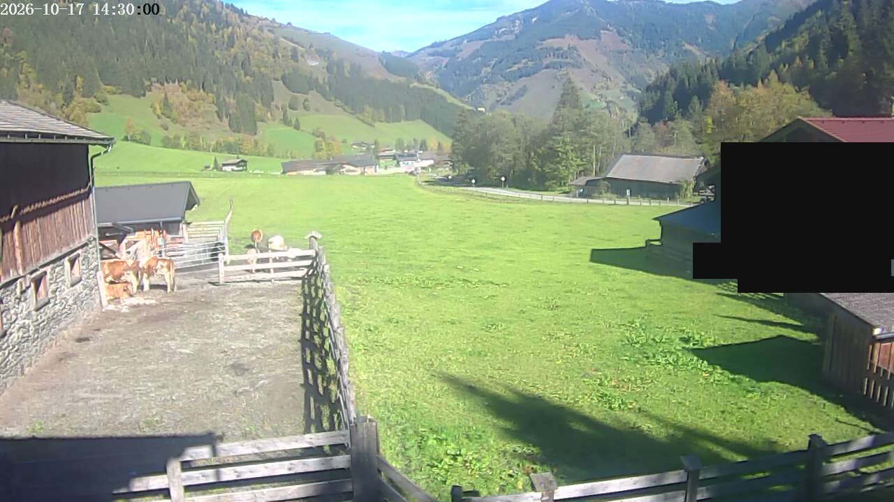 Archiv Foto Webcam Raurisertal, Salzburger Land