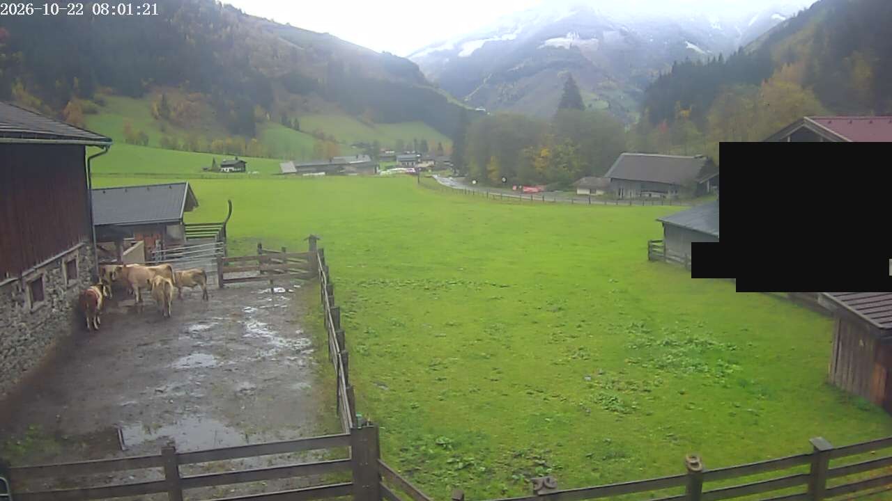 Archiv Foto Webcam Raurisertal, Salzburger Land