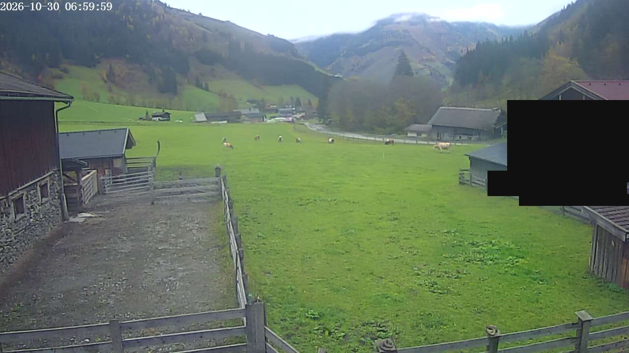 Archiv Foto Webcam Raurisertal, Salzburger Land