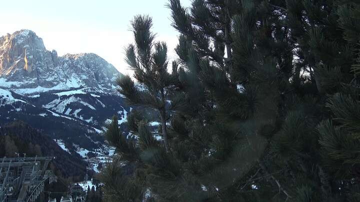 Archiv Foto Webcam Col Raiser - St. Christina