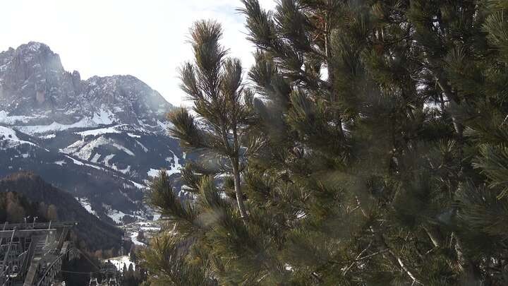 Archiv Foto Webcam Col Raiser - St. Christina