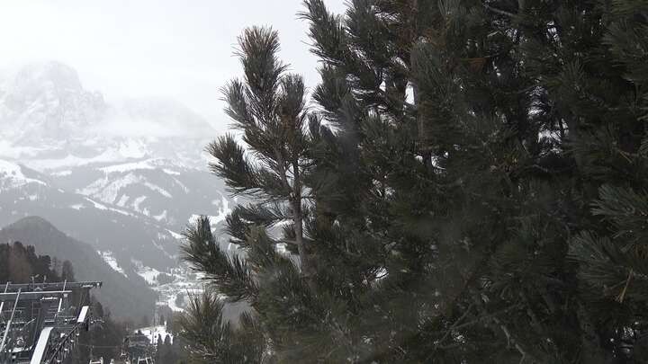 Archiv Foto Webcam Col Raiser - St. Christina