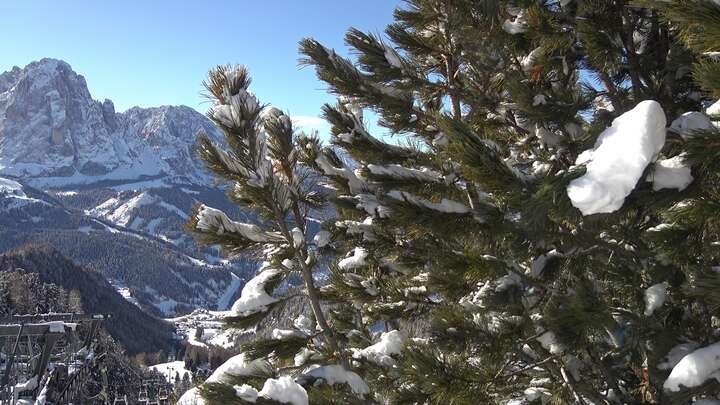 Archiv Foto Webcam Col Raiser - St. Christina