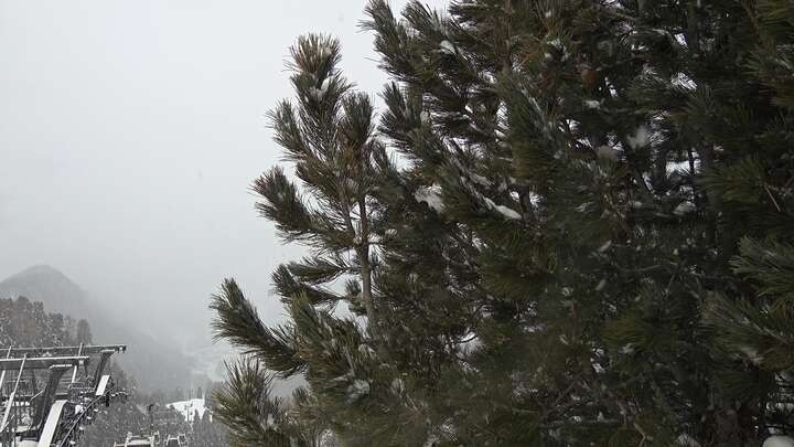 Archiv Foto Webcam Col Raiser - St. Christina