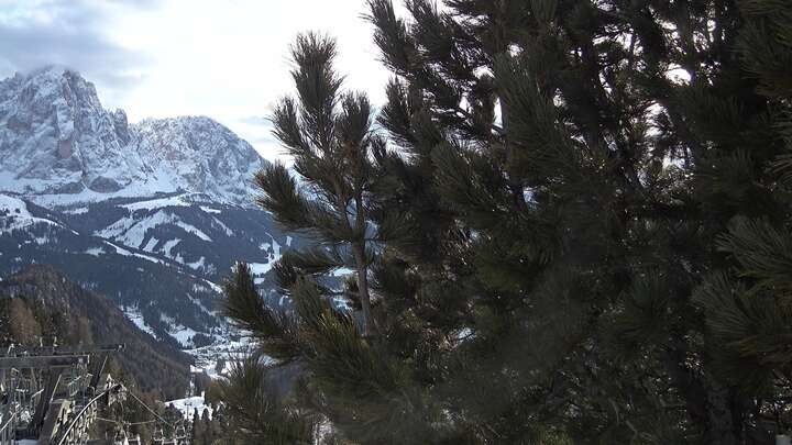 Archived image Webcam Col Raiser - S. Cristina