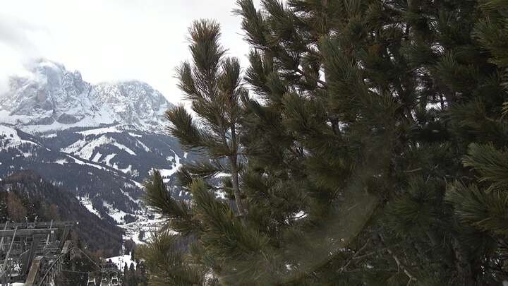 Archiv Foto Webcam Col Raiser - St. Christina