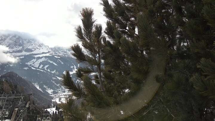 Archiv Foto Webcam Col Raiser - St. Christina