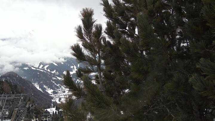 Archiv Foto Webcam Col Raiser - St. Christina