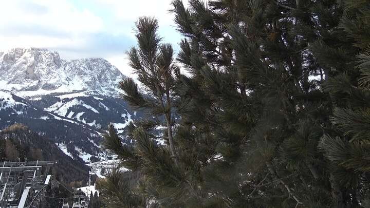 Archiv Foto Webcam Col Raiser - St. Christina