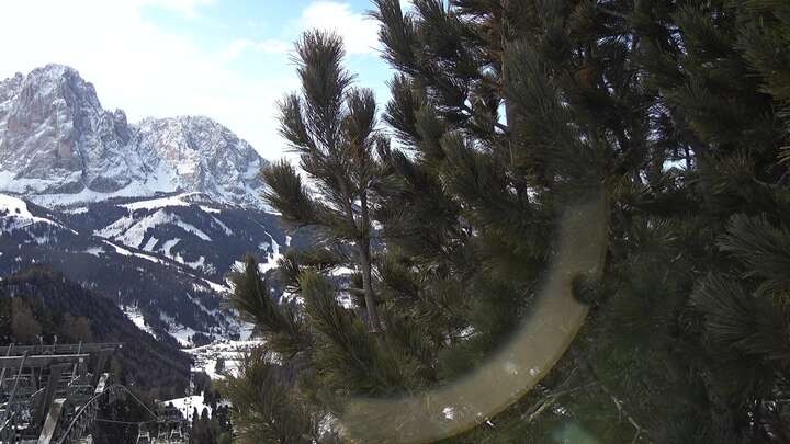 Archiv Foto Webcam Col Raiser - St. Christina