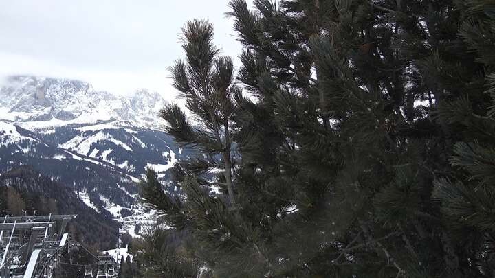 Archiv Foto Webcam Col Raiser - St. Christina